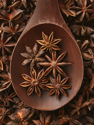 Sternanis