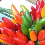 Calabrian pippuri