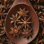 Sternanis