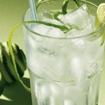 Gin (alkoholisches Getränk)