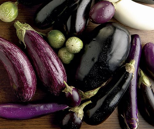 Aubergine: Sorten, Auswahl, Verarbeitung und Zubereitung