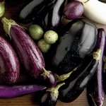 Aubergine: Sorten, Auswahl, Verarbeitung und Zubereitung