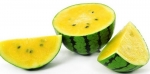 Wassermelone: ​​Auswahl, Lagerung und Verwendung in der Küche