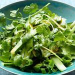 Würziger Gurkensalat mit Koriander und Frühlingszwiebeln