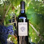 Tempranillo