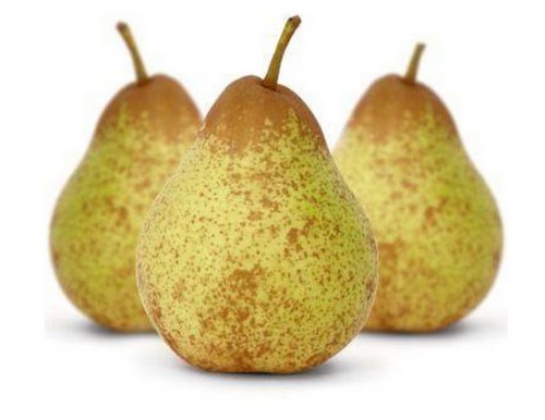 Birnen