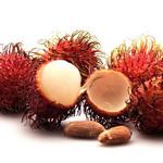 Exotische Frucht Rambutan