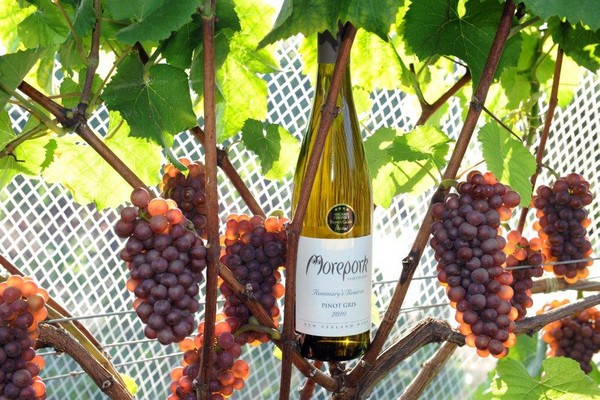 Foto Wein Pinot Gris