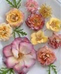Kuchen mit frischen Blumen verzieren