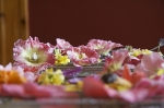Kuchen mit frischen Blumen verzieren