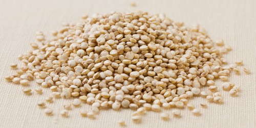 Fleischersatzprodukte