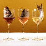 Welcher Wein passt zu Fisch und Meeresfrüchten?