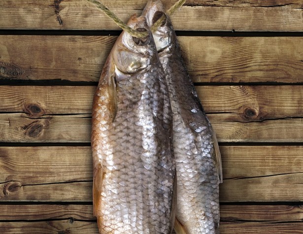 Wie man Fisch richtig trocknet
