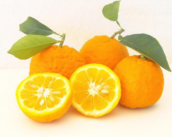 Orangen