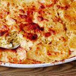 Kartoffelgratin mit Wirsing