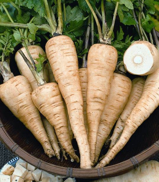 Come sostituire le pastinache nelle ricette