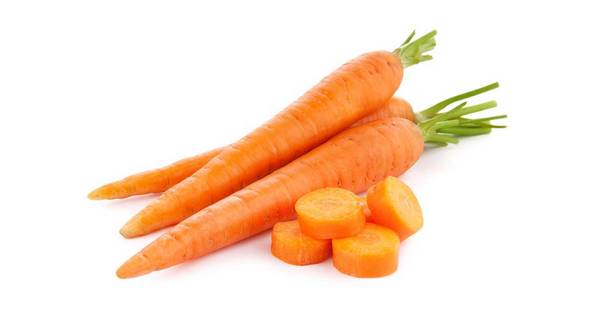 Carota