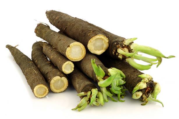 Salsify