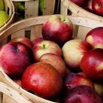 Sorten importierter Äpfel und ihre charakteristischen Merkmale