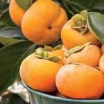 الكاكي: فوائده، وكيفية اختياره وتخزينه