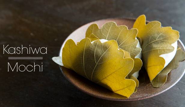 Kashiwa Mochi