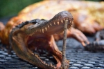 gegrillter Alligator