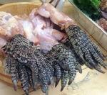 Alligatorpfoten