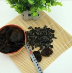 فطر شجرة سوداء موير