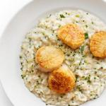 Risotto mit Jakobsmuscheln, Zitrone und Kräutern