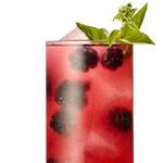 Garden Gimlet Cocktail