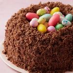 كعكة عش عيد الفصح بالشوكولاتة والحليب الشعيري