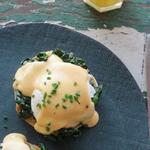 Eier Florentiner Art mit Spinat und Mornay-Sauce