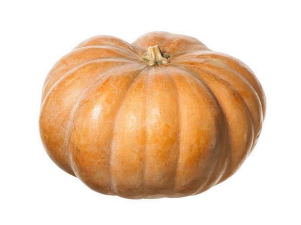 Käsekürbis