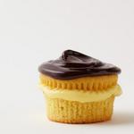 Boston Cream Cupcakes