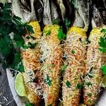 Gegrillter Mais mit Korianderpesto