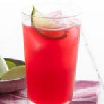 Hibiskus-Cooler mit Tequila