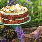 Kolibri-Kuchen von Jamie Oliver