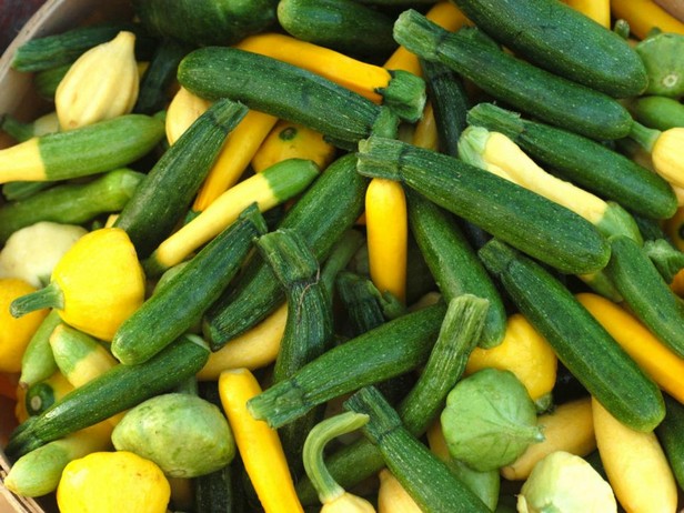 Foto – Zucchini und Kürbis