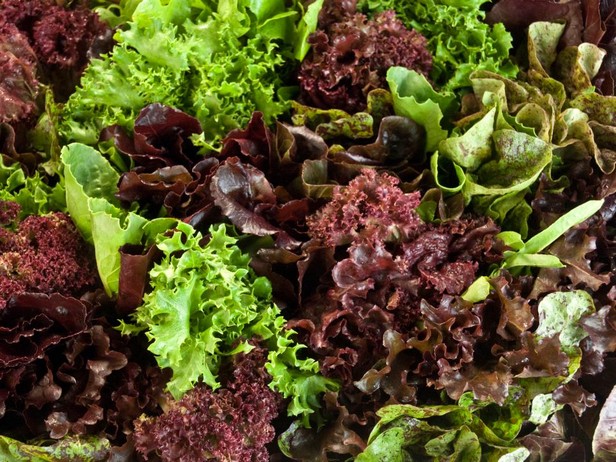 Foto – Salatgrün