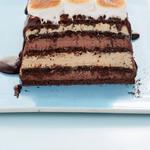 Mehlfreier S'mores-Kuchen mit Marshmallowcreme