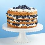 Italienischer Kokoscremekuchen mit Blaubeeren