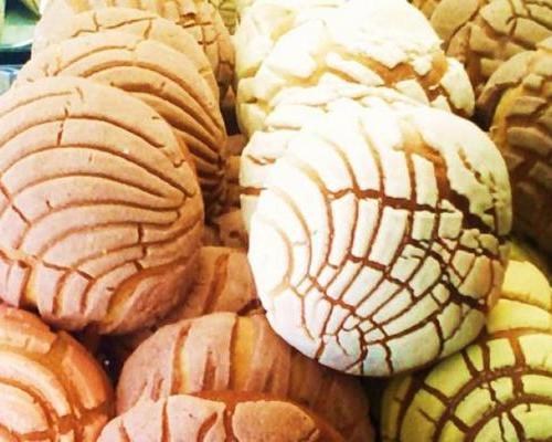 كعكات بان دولسي المكسيكية، وهي نوع من أنواع الكونشاس