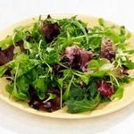 Frühlingsgrüner Salat