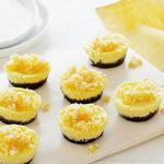 Einzelne Orangen-Schokoladen-Käsekuchen