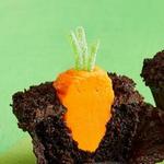 Schokoladen-Karotten-im-Garten-Cupcakes