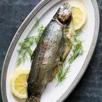 Gegrillte ganze Forelle