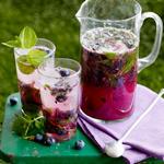 Blaubeer-Ingwer-Mojito