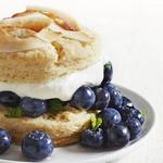 Blaubeerkuchen mit Kokos-Limetten-Schlagsahne