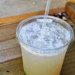 Straßenlimonade „Zitrusglück“