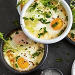 Cocotte-Eier